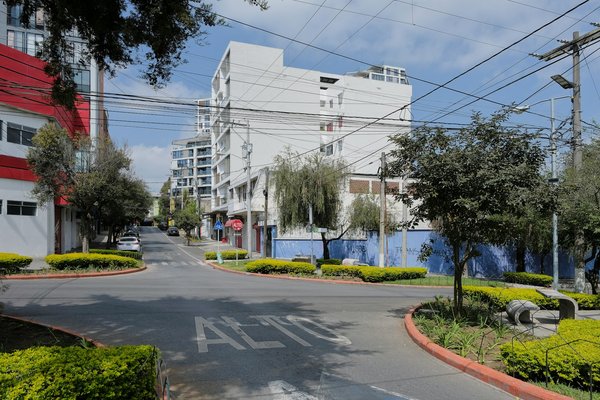 Quels sont les facteurs clés de succès pour investir dans des zones franches vertes ?