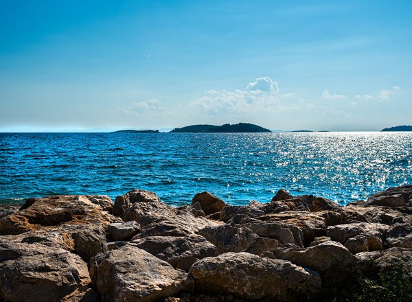 Avenir durable de l'économie maritime : opportunités et défis